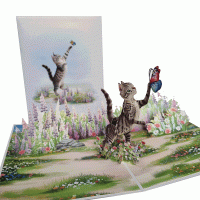 Pop-up poes met vlinder kaart